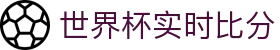 2026世界杯门户网站 - 赛程比分与盘口赔率分析 - 世界杯2026门户